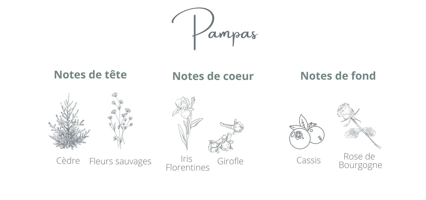 Bougie - Pampas | Fleurs sauvage + Cédre Coton Corail Bougie Parfumée - Fait au québec