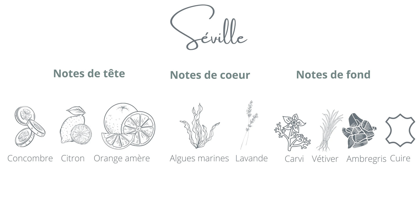 Bougie - Séville | Orange Espagnole + Concombre Coton Corail Bougie Parfumée - Fait au québec