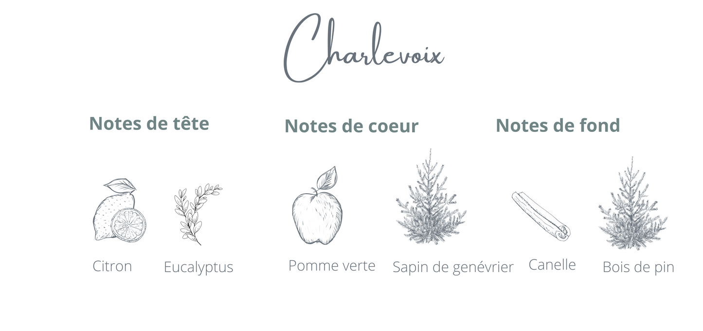 Recharge - Charlevoix - Coton Corail - Bougie montréal - chandelle rechargeable  - notes sapin genévrier