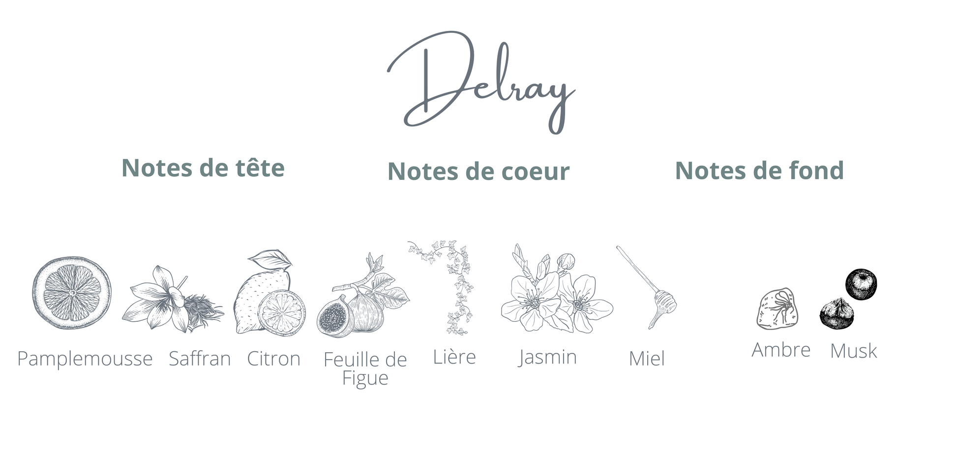 Notes Delray - Bougie rechargeable Montréal - coton corail - Pomelo miel