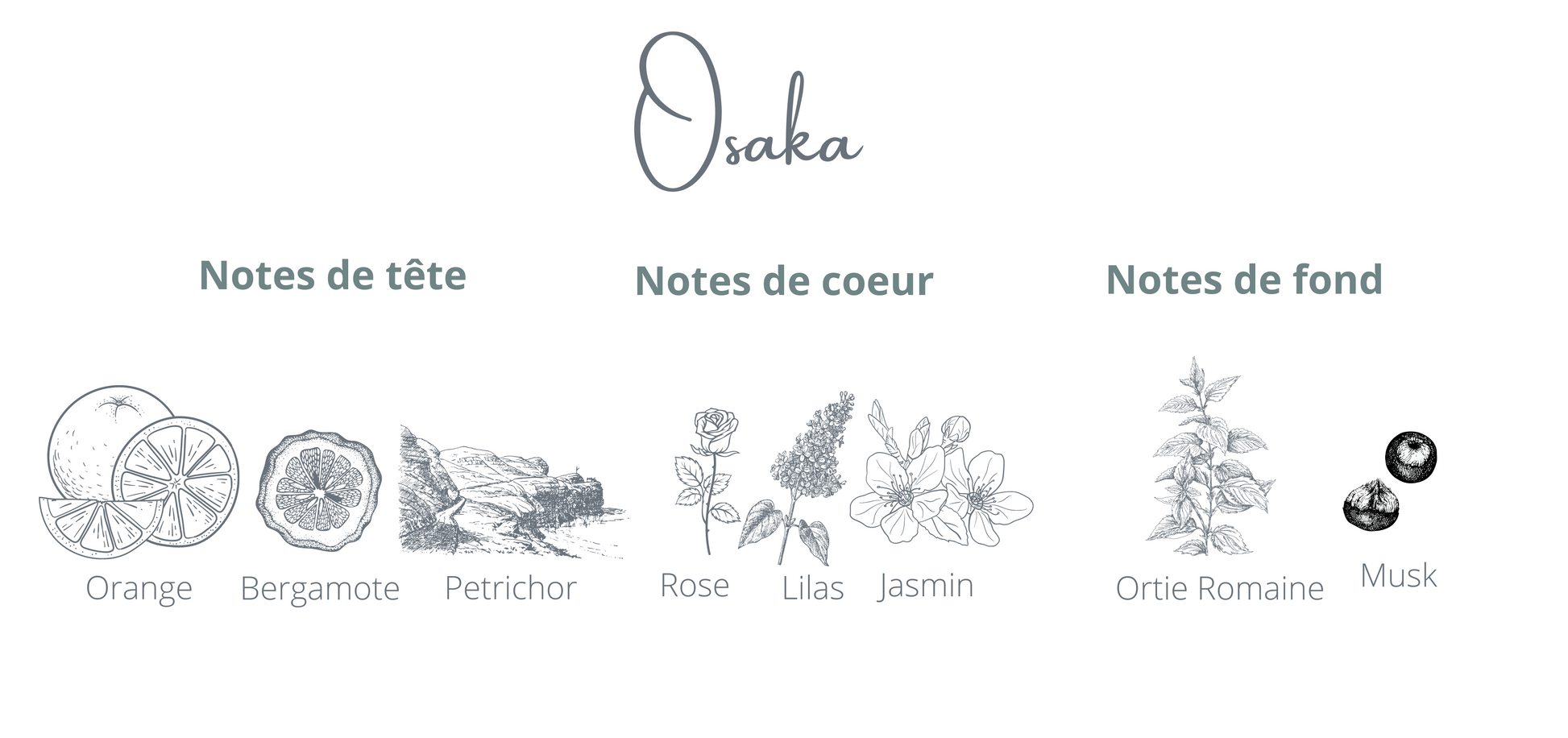 Notes Osaka - Coton Corail - Bougie Montréal - Bougie Lilas