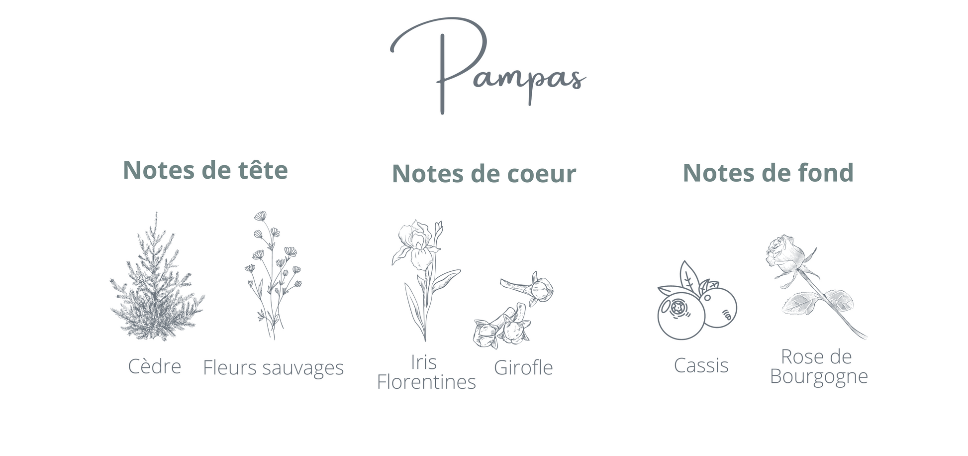 Recharge - Pampas - Coton Corail - Bougie montréal - chandelle rechargeable  - notes fleurs sauvage