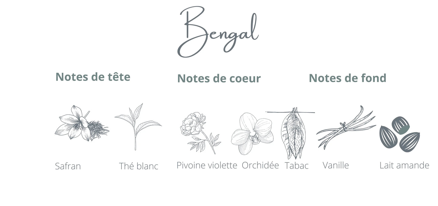 Recharge - Bengal | Safran + Thé blanc Coton Corail Bougie Parfumée - Fait au québec