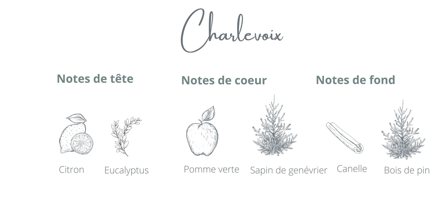 Recharge - Charlevoix | Aiguille de sapin + Genévrier Coton Corail Bougie Parfumée - Fait au québec