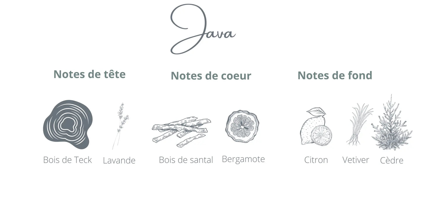 Recharge Java | Bois de Teck + Citron Coton Corail Bougie Parfumée - Fait au québec