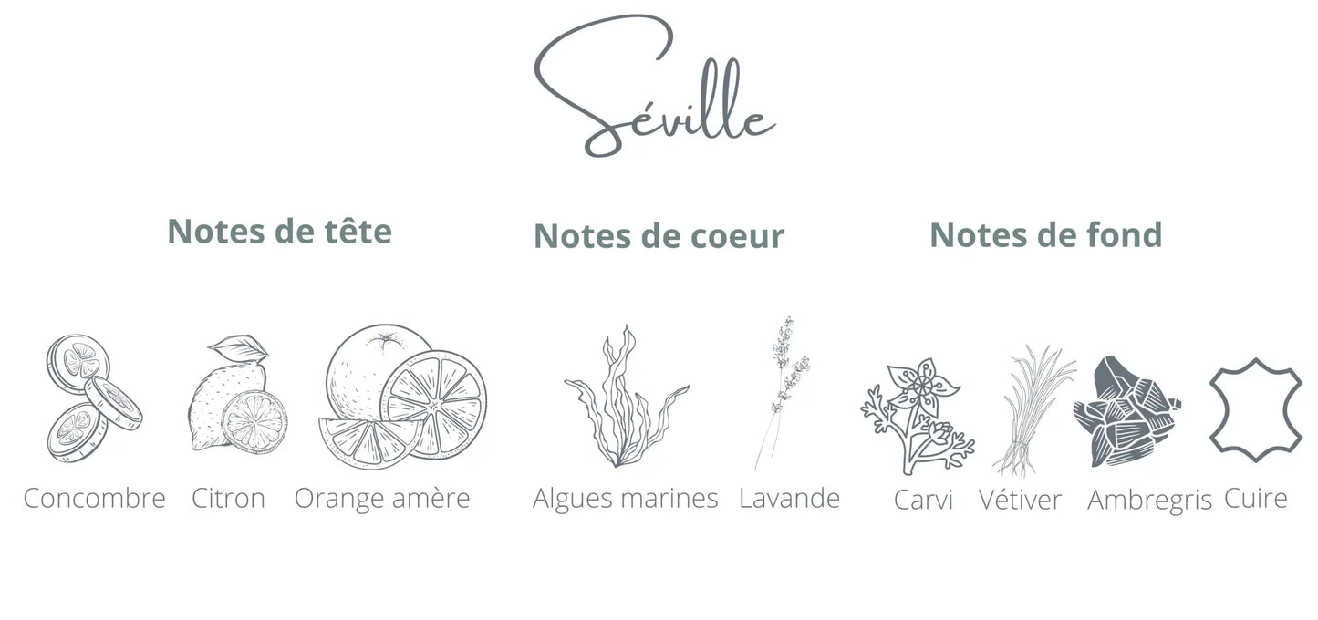 Recharge - Séville | Orange Espagnole + Concombre Coton Corail Bougie Parfumée - Fait au québec