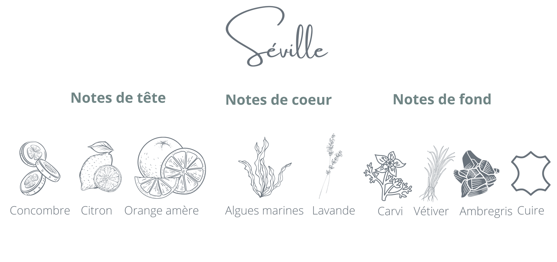 Bougie montréal - Séville  - Coton Corail - Bougie rechargeable - Notes Concombre Oranges espagnole