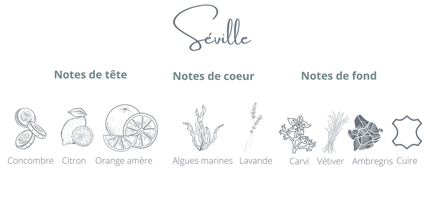 Recharge - Séville - Coton Corail - Bougie montréal - chandelle rechargeable - notes orange espagnoles concombre