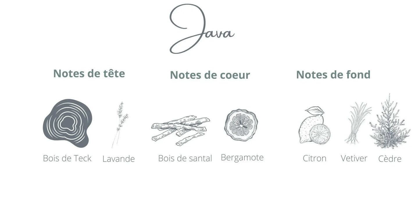 Bougie - Java | Bois de Teck + Citron Coton Corail Bougie Parfumée - Fait au québec