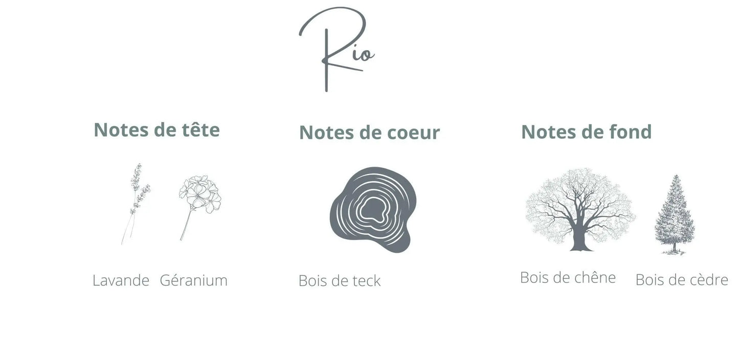 Bougie - Rio | Bois de Teck + Acajou Coton Corail Bougie Parfumée - Fait au québec