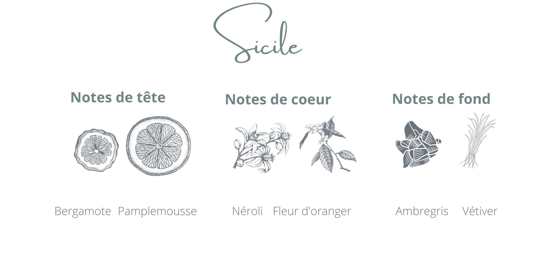 Bougie - Sicile - Coton Corail- notes bergamote ambregris