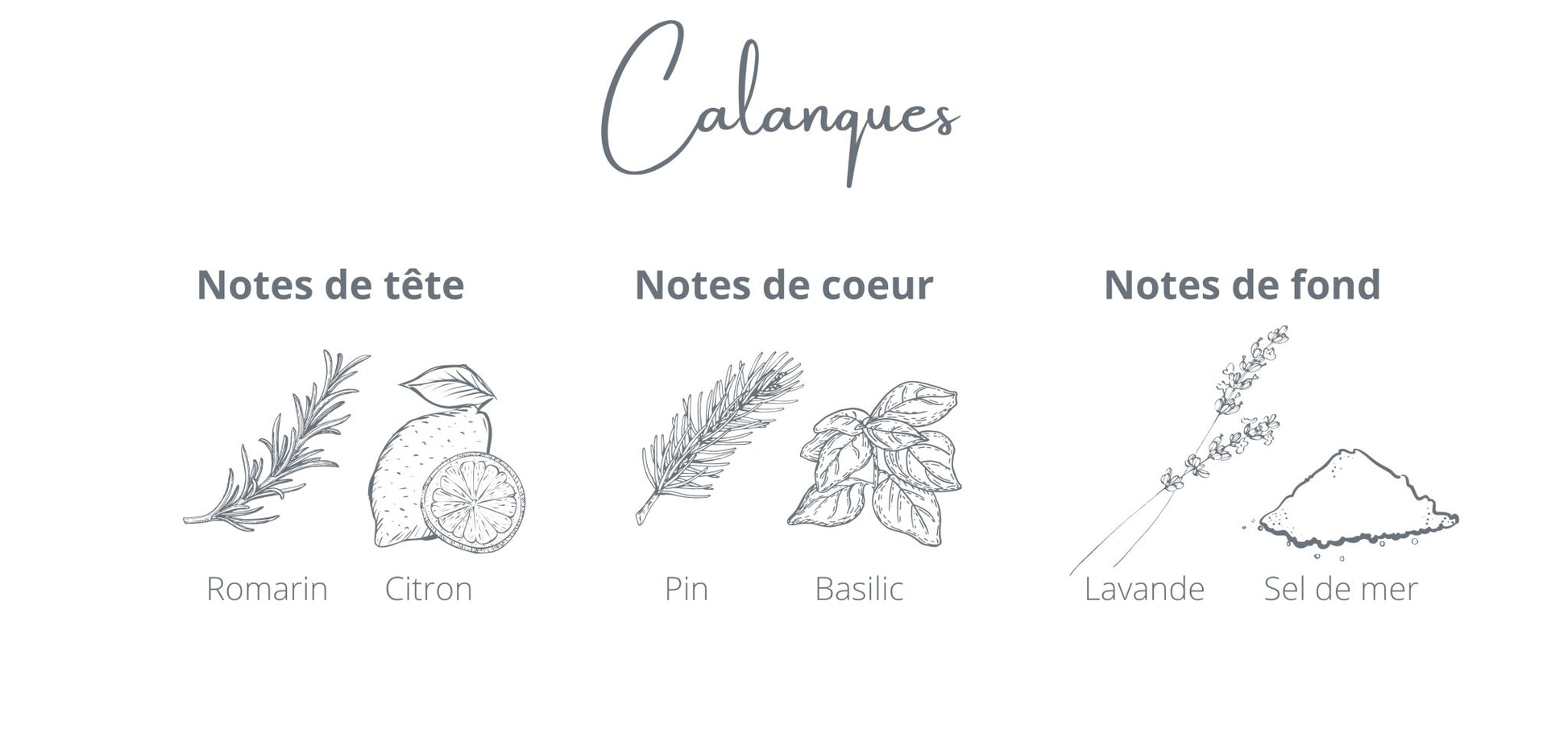 Recharge - Calanques - Coton Corail - Bougie montréal - chandelle rechargeable - notes romarin sel de mer