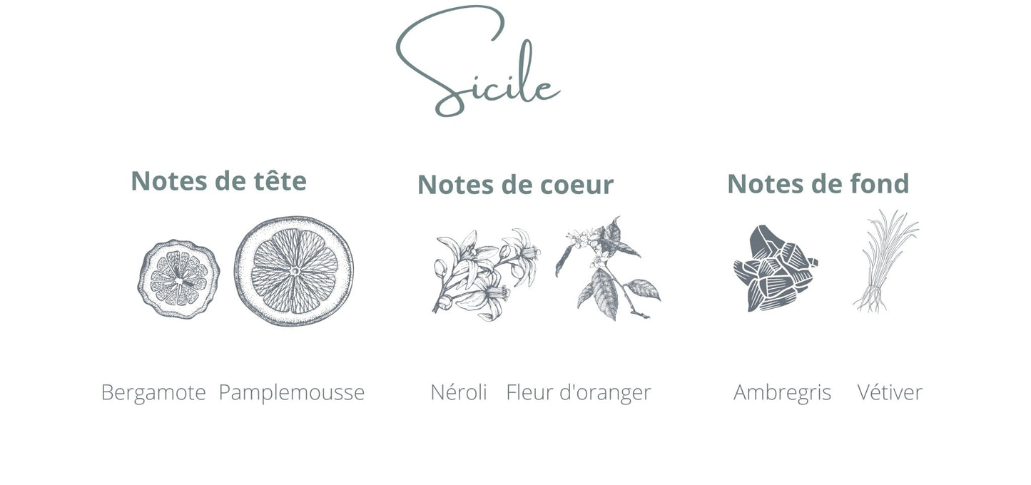 Recharge - Sicile - Coton Corail - Bougie montréal - chandelle rechargeable - notes bergamote ambregris