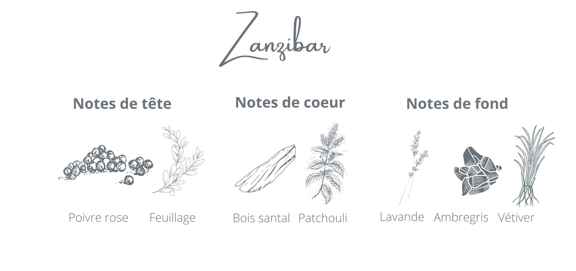 Recharge - Zanzibar- Coton Corail - Bougie montréal - chandelle rechargeable - notes poivre rose vetiver