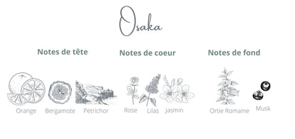 Bougie - Osaka | Lilas + Jasmin Coton Corail Bougie Parfumée - Fait au québec