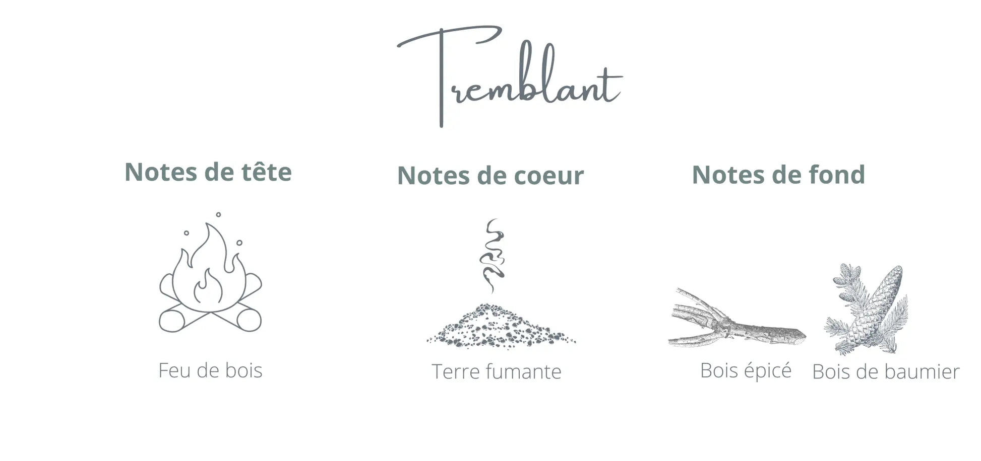 Bougie Tremblant | Feu de bois + Ambre Coton Corail Bougie Parfumée - Fait au québec