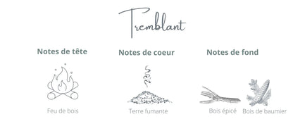 Bougie Tremblant | Feu de bois + Ambre Coton Corail Bougie Parfumée - Fait au québec