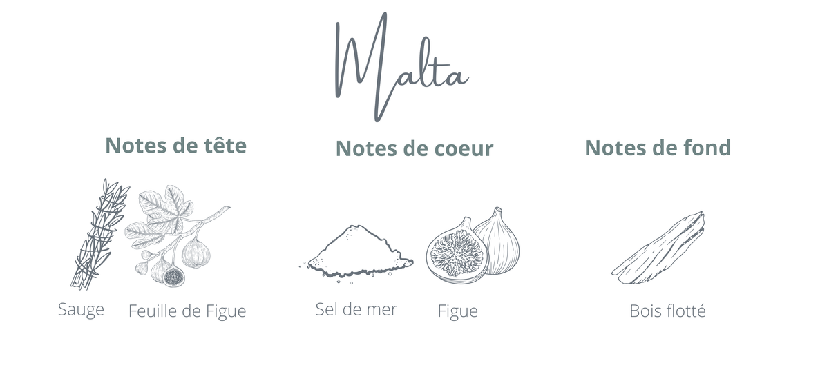 Bougie parfumée Malta figue et air marin, fragrance marine, cire de coco, fait au Québec