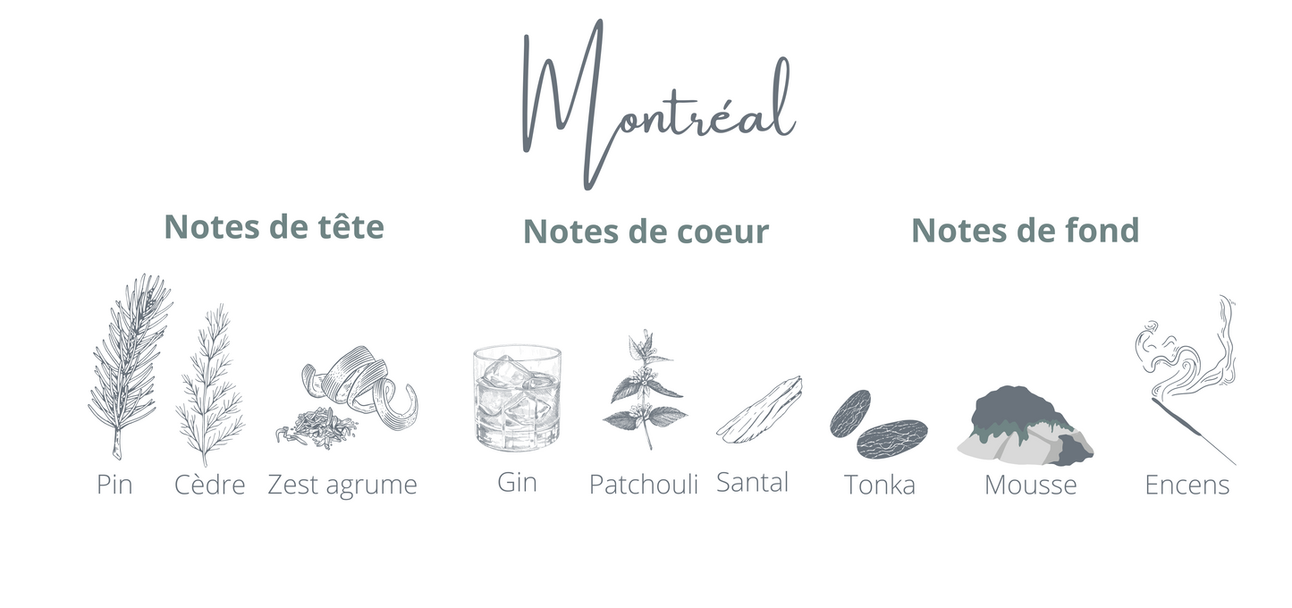 Bougie - Montréal | Gin + Épinette