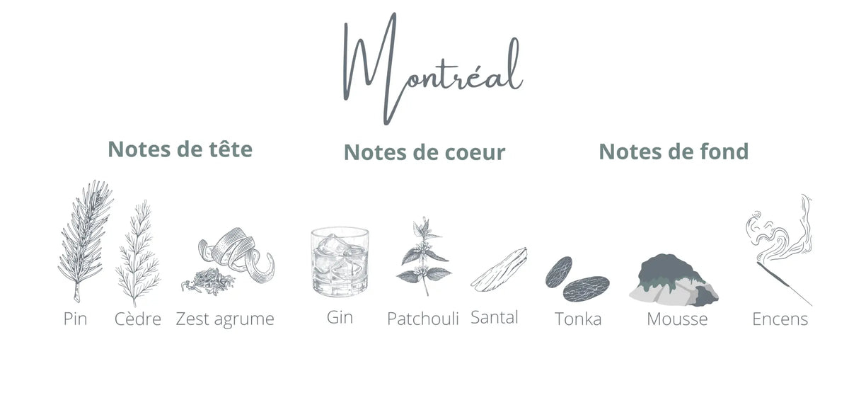 Montréal | Gin + Épinette Coton Corail Bougie Parfumée - Fait au québec