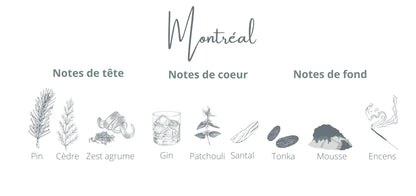 Voyage - Montréal | Gin + Épinette Coton Corail Bougie Parfumée - Fait au québec