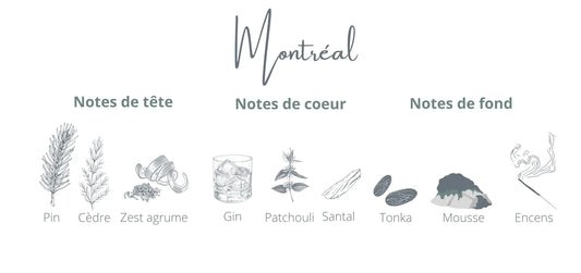 Voyage - Montréal | Gin + Épinette Coton Corail Bougie Parfumée - Fait au québec