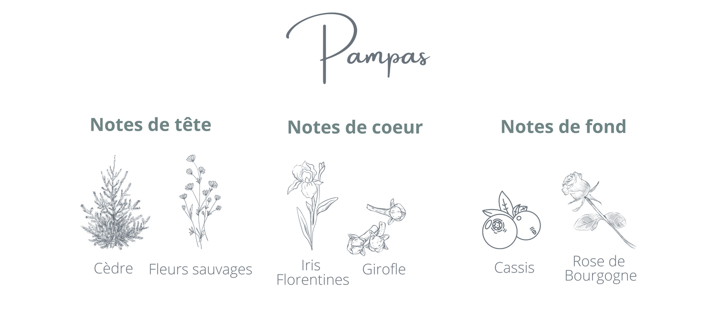 Bougie montréal - Pampas - Coton Corail - Bougie rechargeable - Notes Pampas Fleurs sauvages