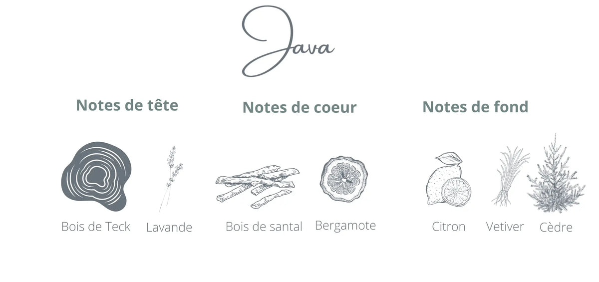 Recharge Java | Bois de Teck + Citron Coton Corail Bougie Parfumée - Fait au québec
