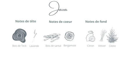 Recharge Java | Bois de Teck + Citron Coton Corail Bougie Parfumée - Fait au québec