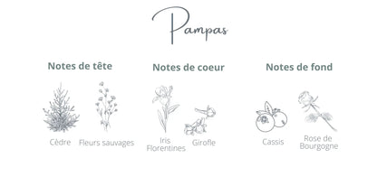 Recharge - Pampas | Fleurs sauvage + Cédre Coton Corail Bougie Parfumée - Fait au québec