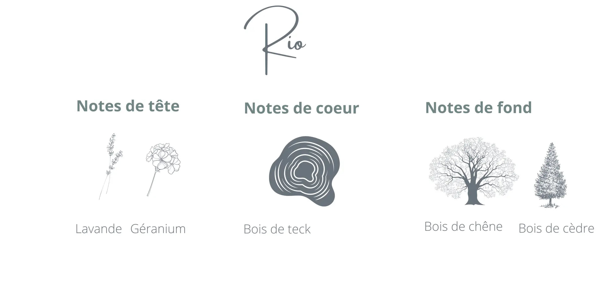 Recharge - Rio | Bois de Teck + Acajou Coton Corail Bougie Parfumée - Fait au québec