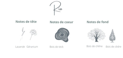 Recharge - Rio | Bois de Teck + Acajou Coton Corail Bougie Parfumée - Fait au québec