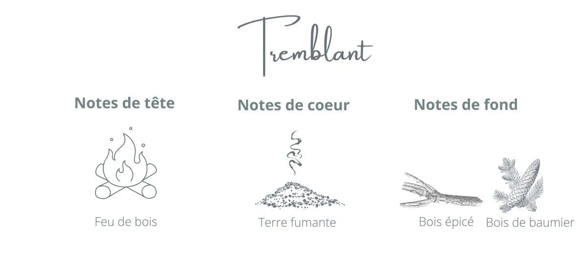 Recharge - Tremblant | Feu de bois + Ambre Coton Corail Bougie Parfumée - Fait au québec