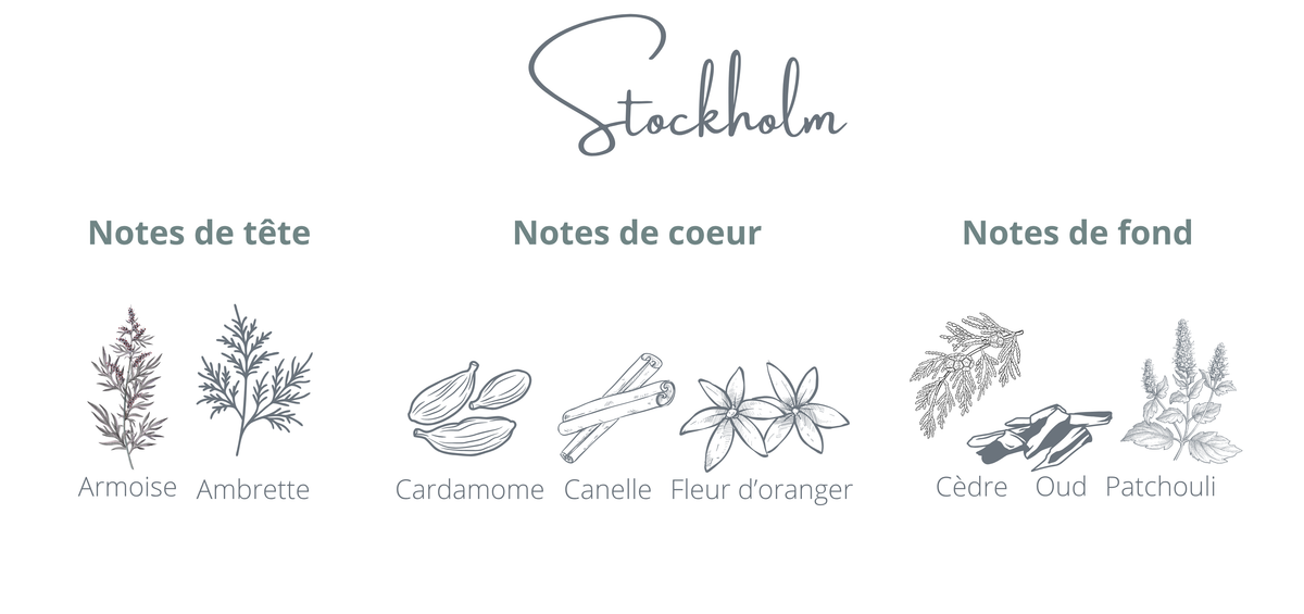 Notes fragrances bougie Stockholm - Cardamome  Oud
