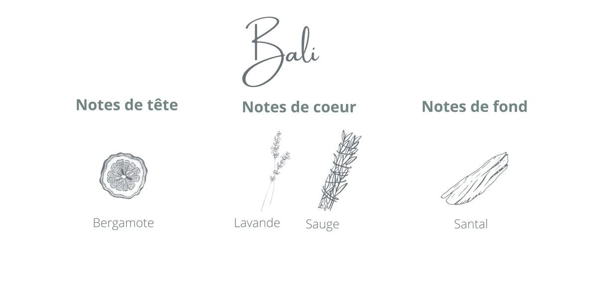 Voyage - Bali | Santal + Sauge Coton Corail Bougie Parfumée - Fait au québec