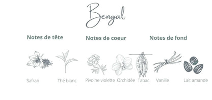 Bougie - Bengal | Safran + Thé blanc Coton Corail Bougie Parfumée - Fait au québec