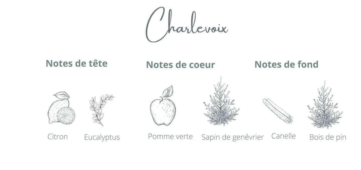 Bougie - Charlevoix | Aiguille de sapin + Genévrier Coton Corail Bougie Parfumée - Fait au québec