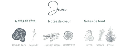 Bougie - Java | Bois de Teck + Citron Coton Corail Bougie Parfumée - Fait au québec