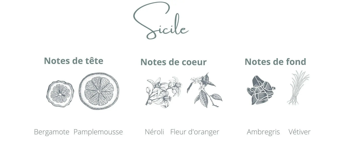 Bougie - Sicile | Bergamote + Ambre gris Coton Corail Bougie Parfumée - Fait au québec