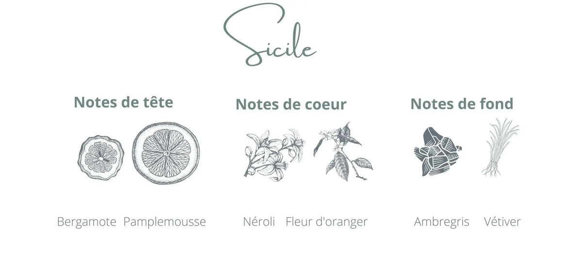 Bougie - Sicile | Bergamote + Ambre gris Coton Corail Bougie Parfumée - Fait au québec