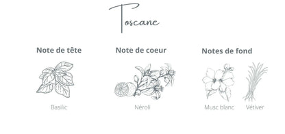 Bougie - Toscane | Basilic + Néroli Coton Corail Bougie Parfumée - Fait au québec