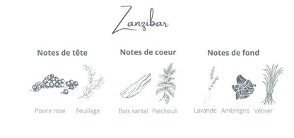 Bougie - Zanzibar | Poivre rose + Vétiver Coton Corail Bougie Parfumée - Fait au québec