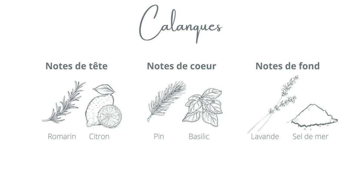 Recharge - Calanques | Romarin + Sel de mer Coton Corail Bougie Parfumée - Fait au québec