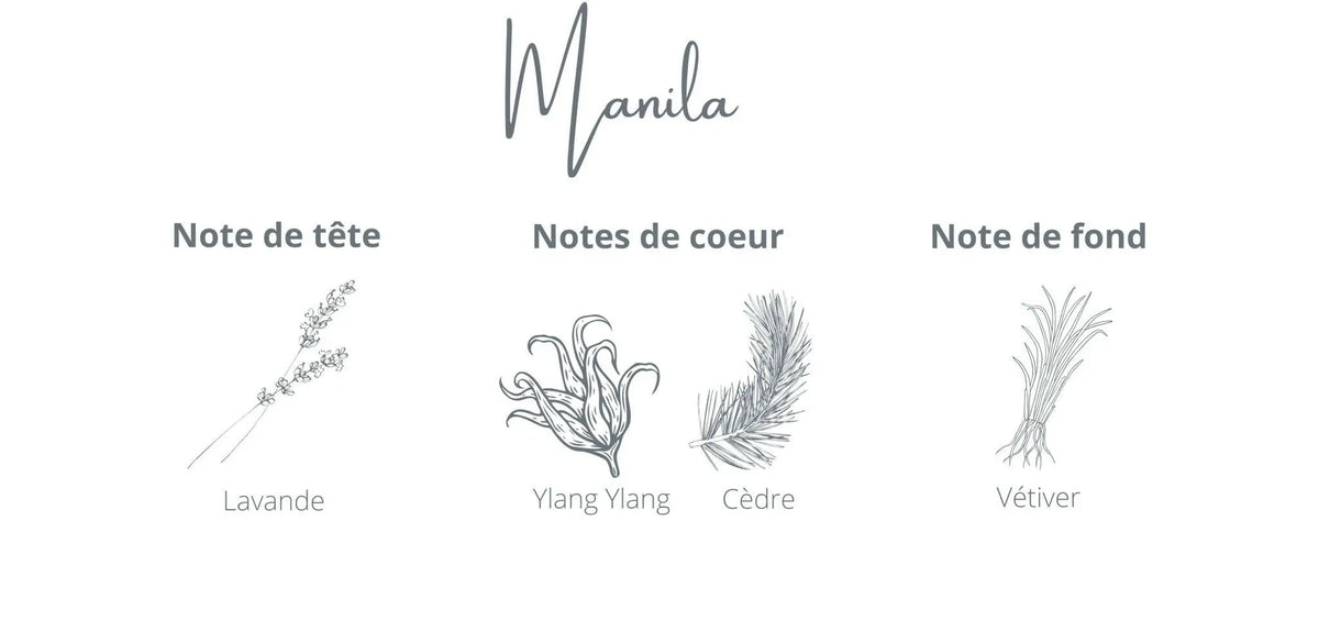 Recharge - Manila | Lavande + Ylang Ylang Coton Corail Bougie Parfumée - Fait au québec