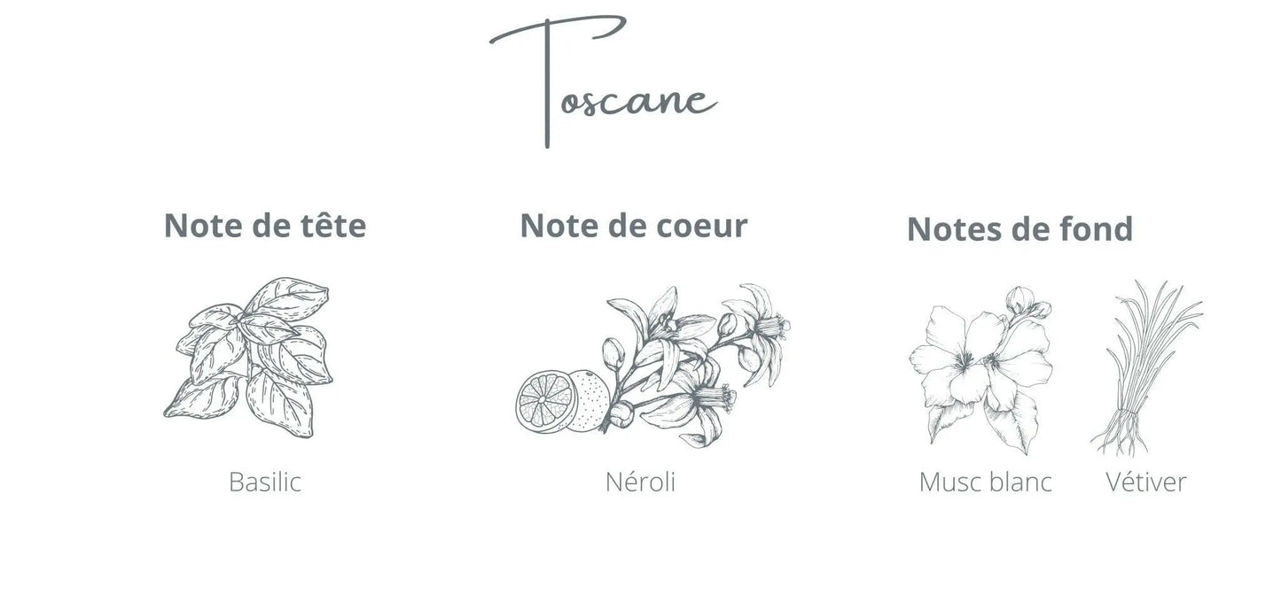 Recharge - Toscane | Basilic + Néroli Coton Corail Bougie Parfumée - Fait au québec