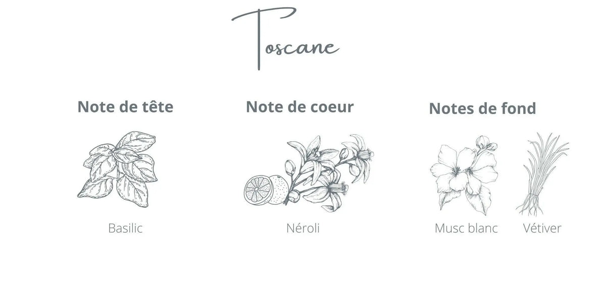 Recharge - Toscane | Basilic + Néroli Coton Corail Bougie Parfumée - Fait au québec